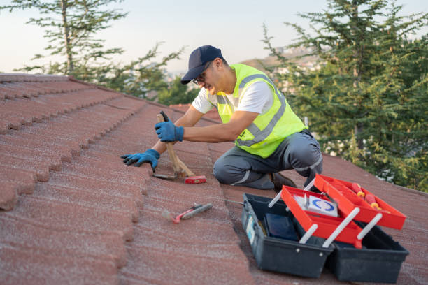 Best Roof Repair Services  in Yorkvle, IL